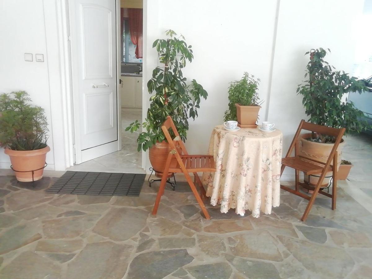 Zoe'S Apartment Bright&Cozy Athens Ngoại thất bức ảnh