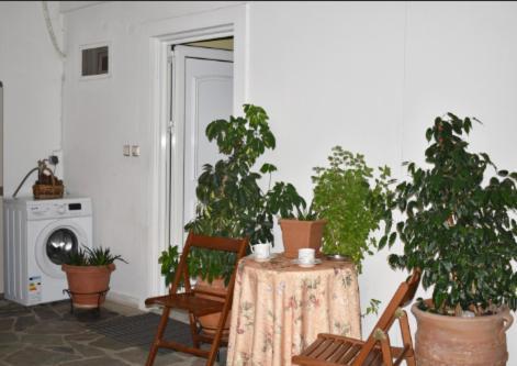 Zoe'S Apartment Bright&Cozy Athens Ngoại thất bức ảnh