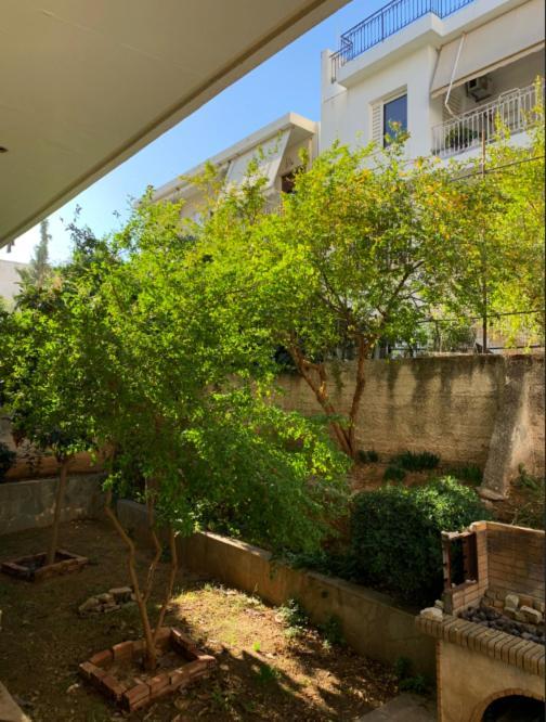 Zoe'S Apartment Bright&Cozy Athens Ngoại thất bức ảnh
