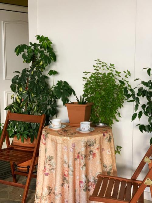 Zoe'S Apartment Bright&Cozy Athens Ngoại thất bức ảnh