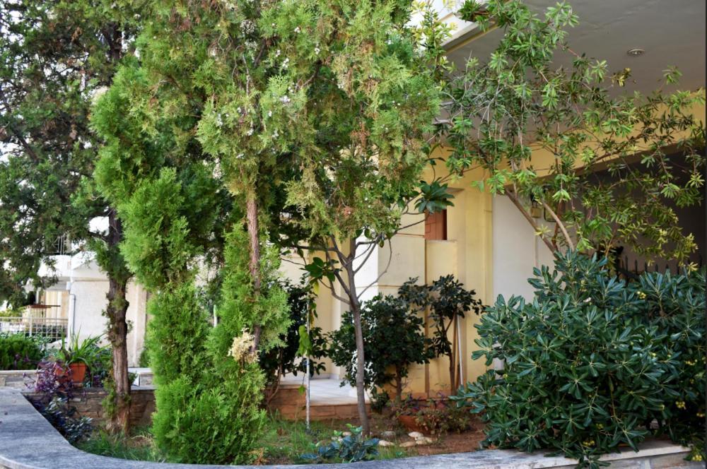 Zoe'S Apartment Bright&Cozy Athens Ngoại thất bức ảnh