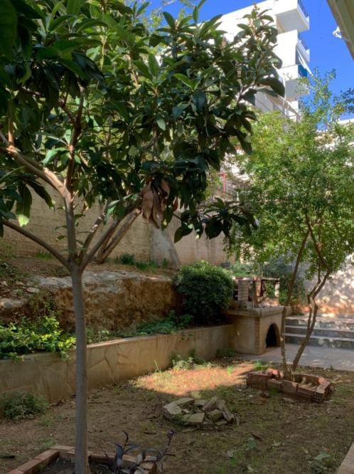 Zoe'S Apartment Bright&Cozy Athens Ngoại thất bức ảnh